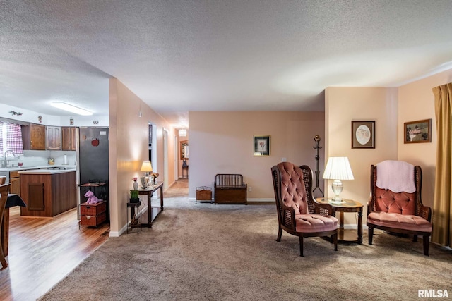 1903 Melvin Rd, West Frankfort, IL 62896 - living area with light colored carpet and a textured ceiling