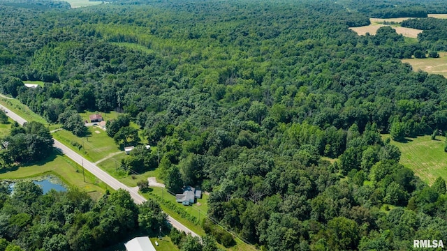 5680 State Route 146 E Highway, Vienna, IL 62995 - aerial view of property's location with a forest and a large body of water