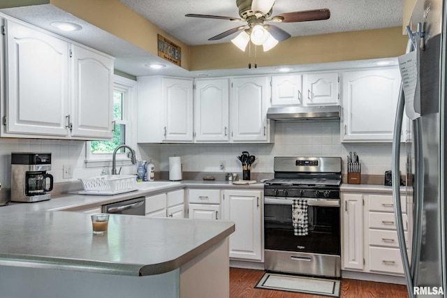5680 State Route 146 E Highway, Vienna, IL 62995 - kitchen with appliances with stainless steel finishes, under cabinet range hood, a peninsula, ceiling fan, and decorative backsplash