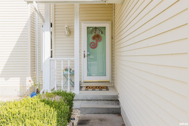 10224 Illinois Steel Rd, Johnston City, IL 62951 - doorway to property