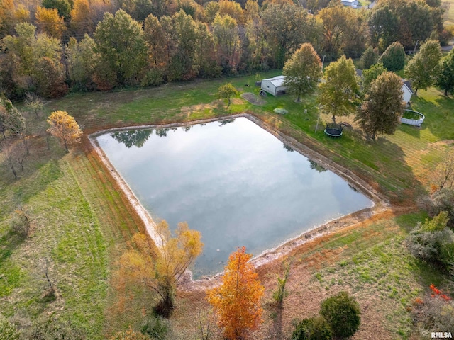 10224 Illinois Steel Rd, Johnston City, IL 62951 - aerial view of a large body of water