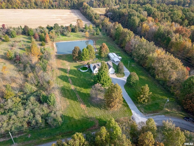 10224 Illinois Steel Rd, Johnston City, IL 62951 - aerial overview of property's location featuring a forest