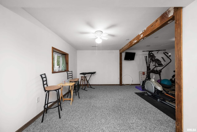 5003 48th St, Moline, IL 61265 - workout area with a ceiling fan and carpet flooring