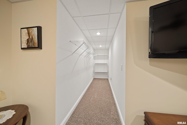 627 10th Ave, Silvis, IL 61282 - spacious closet with carpet floors and a drop ceiling