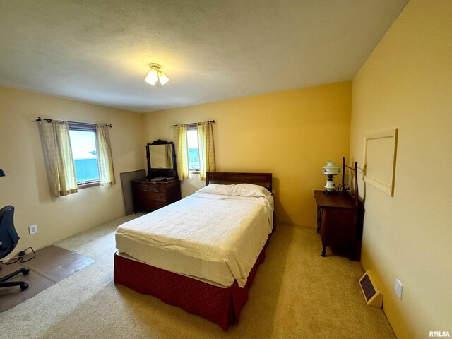 1626 210th St, Reynolds, IL 61279 - photo 13