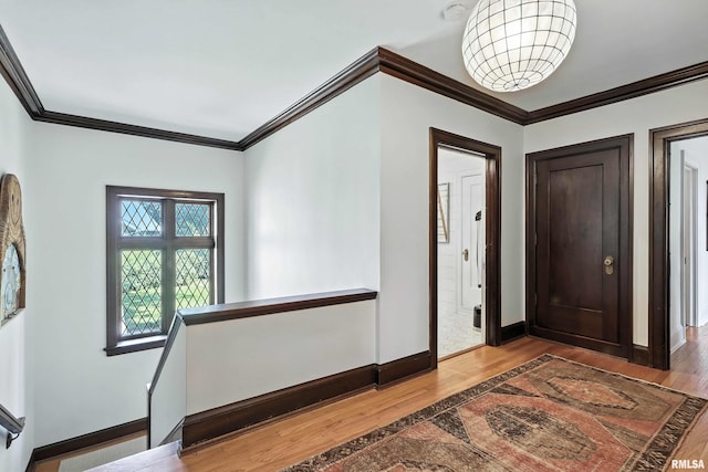 118 Ridgewood Ave, Davenport, IA 52803 - entryway featuring wood finished floors and crown molding