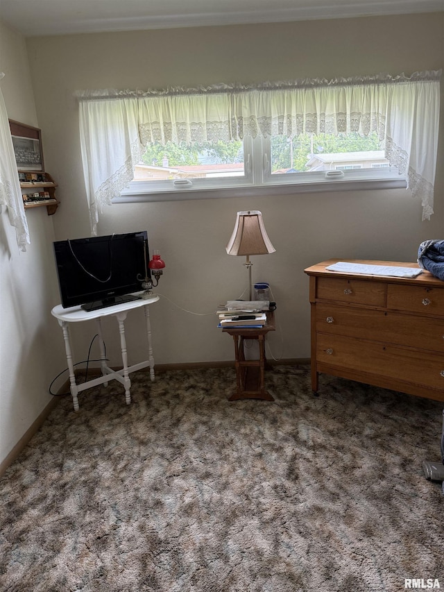 1519 W Garfield St, Davenport, IA 52804 - photo 17
