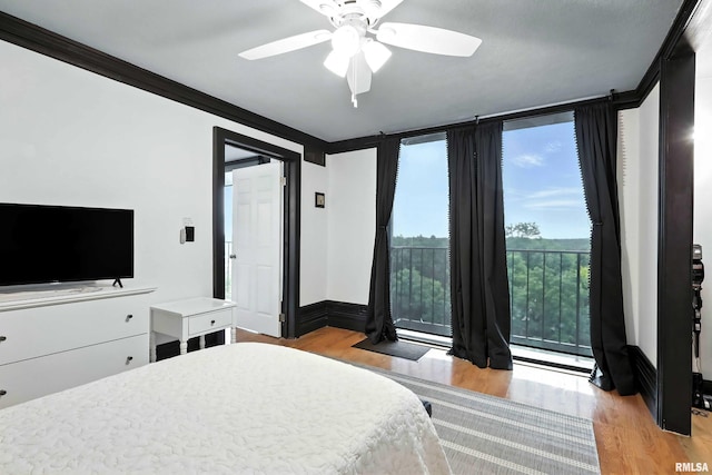1800 7th St Unit 10E, East Moline, IL 61244 - bedroom featuring light wood-type flooring and a ceiling fan