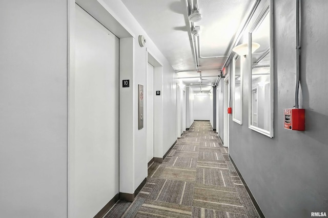 1800 7th St Unit 10E, East Moline, IL 61244 - hall with carpet flooring and baseboards
