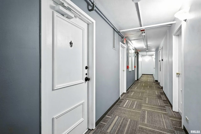 1800 7th St Unit 10E, East Moline, IL 61244 - hall with dark carpet