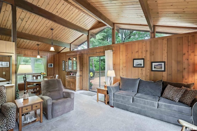 28002 230th St, Le Claire, IA 52753 - carpeted living room with wooden walls and wooden ceiling