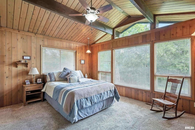 28002 230th St, Le Claire, IA 52753 - carpeted bedroom with wood walls and wooden ceiling