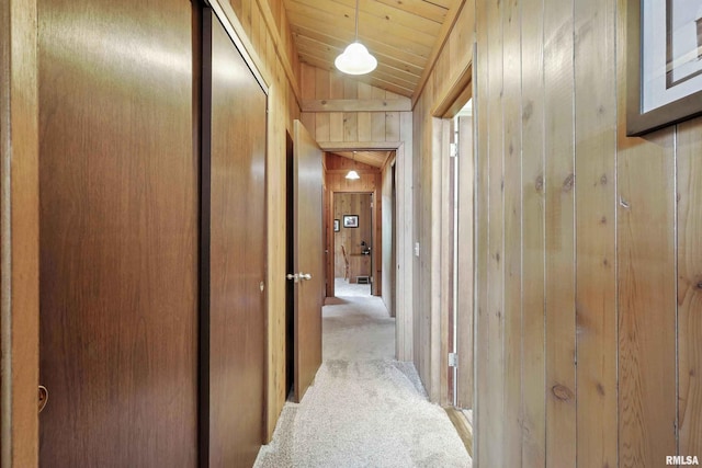28002 230th St, Le Claire, IA 52753 - hallway featuring lofted ceiling, carpet, wood walls, and wood ceiling