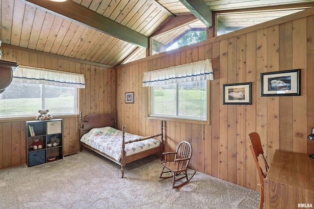 28002 230th St, Le Claire, IA 52753 - carpeted bedroom with multiple windows, wooden walls, and wood ceiling