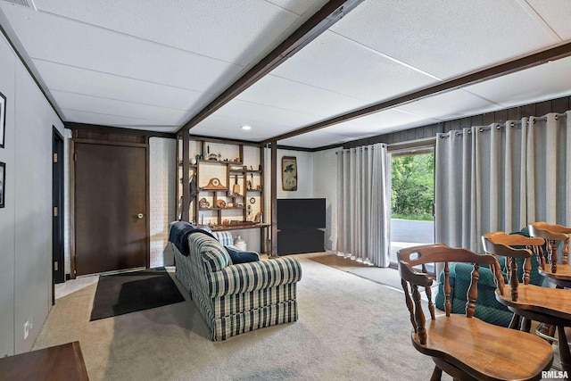 28002 230th St, Le Claire, IA 52753 - view of carpeted living room