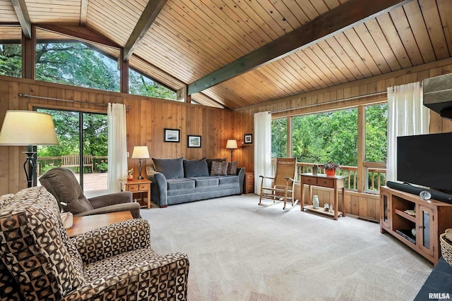 28002 230th St, Le Claire, IA 52753 - living area featuring wood walls and carpet floors
