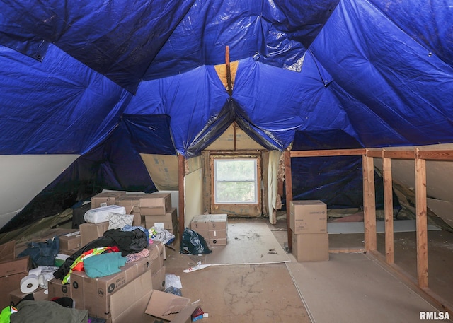 1610 12th Ave, Rock Island, IL 61201 - view of attic