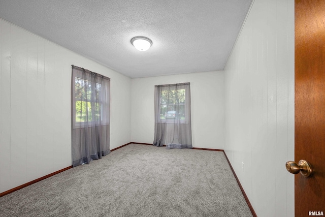101 W Sheridan Dr, Eldridge, IA 52748 - carpeted spare room featuring a textured ceiling and wood walls