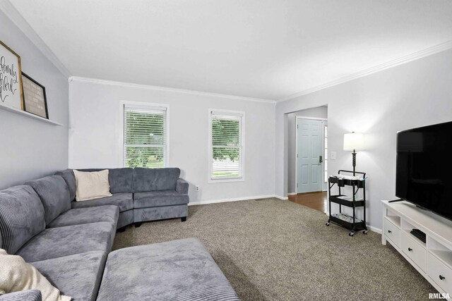 732 W 59th St, Davenport, IA 52806 - photo 17