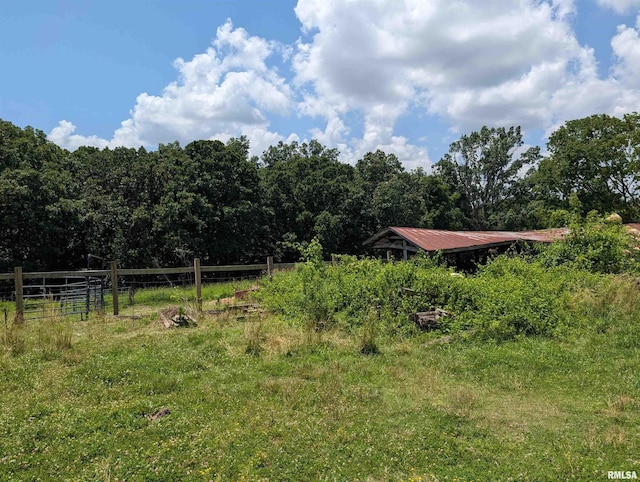 340 Dameron Ln, Vienna, IL 62995 - view of yard featuring a wooded view