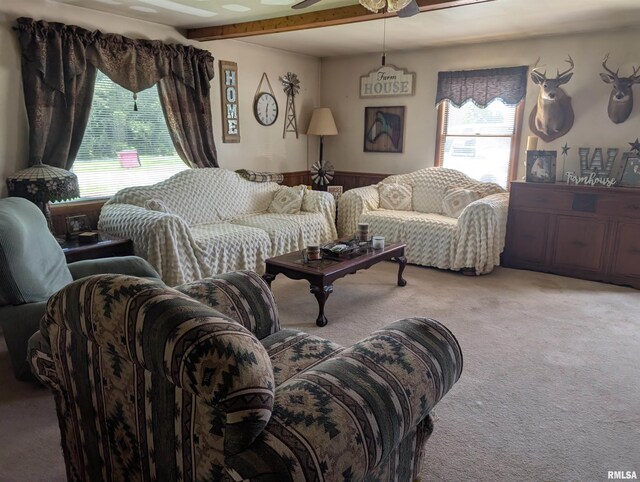 340 Dameron Ln, Vienna, IL 62995 - living room featuring carpet flooring, a wainscoted wall, and ceiling fan