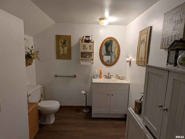 340 Dameron Ln, Vienna, IL 62995 - bathroom featuring wood finished floors, vanity, and lofted ceiling