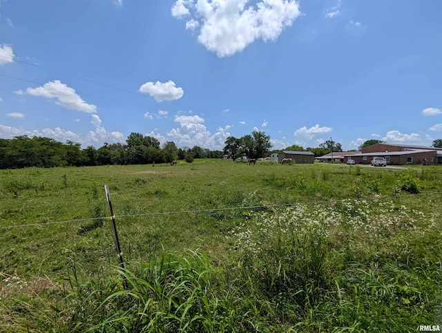 340 Dameron Ln, Vienna, IL 62995 - view of yard with a view of rural / pastoral area