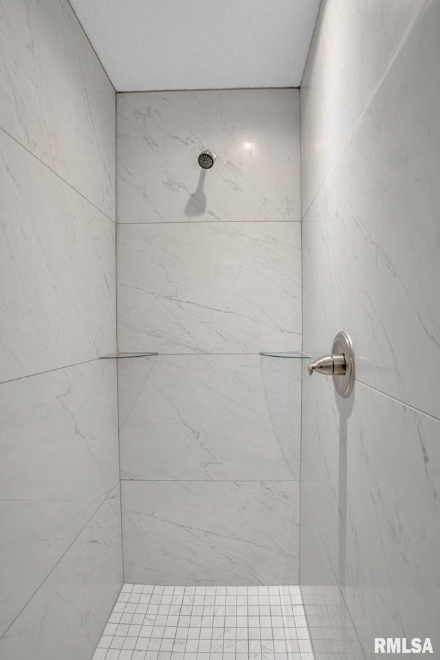 1039 Bluff Ln, Le Claire, IA 52753 - bathroom featuring a tile shower