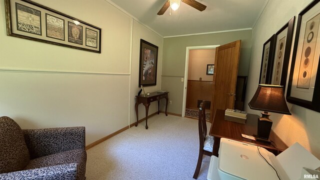 4355 Raleigh Rd, Eldorado, IL 62930 - photo 21