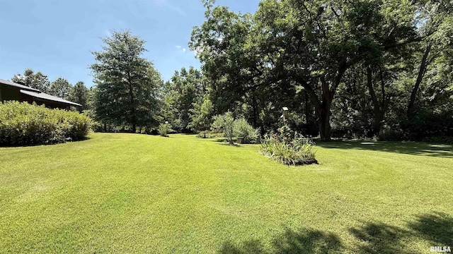 4355 Raleigh Rd, Eldorado, IL 62930 - photo 40