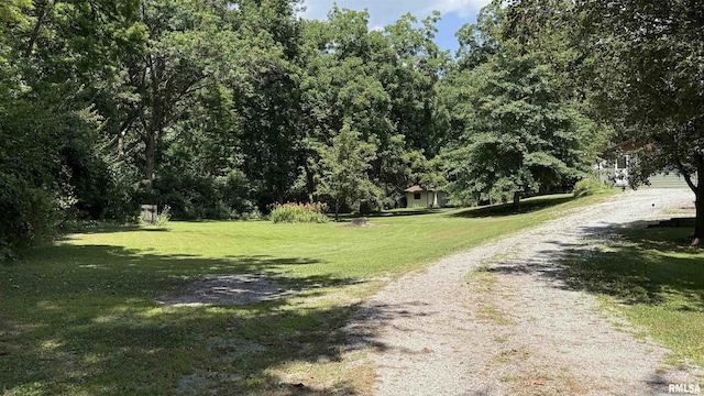 4355 Raleigh Rd, Eldorado, IL 62930 - photo 5