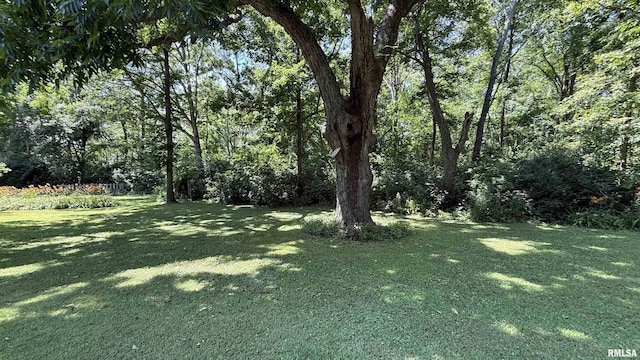 4355 Raleigh Rd, Eldorado, IL 62930 - photo 43