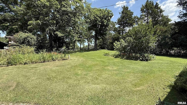 4355 Raleigh Rd, Eldorado, IL 62930 - photo 7