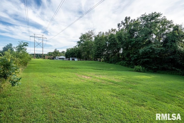 17000 Log Cabin Rd, Marion, IL 62959 - view of green lawn