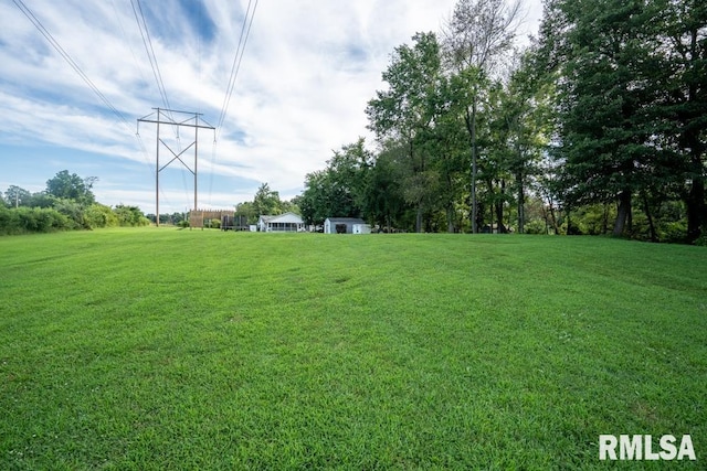 17000 Log Cabin Rd, Marion, IL 62959 - view of grassy yard