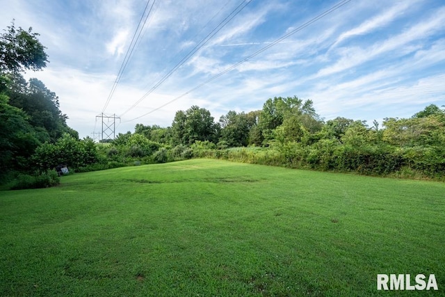 17000 Log Cabin Rd, Marion, IL 62959 - view of grassy yard with view of scattered trees