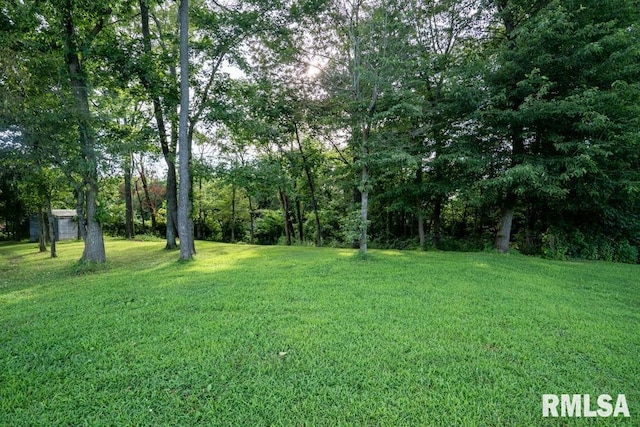 17000 Log Cabin Rd, Marion, IL 62959 - view of grassy yard
