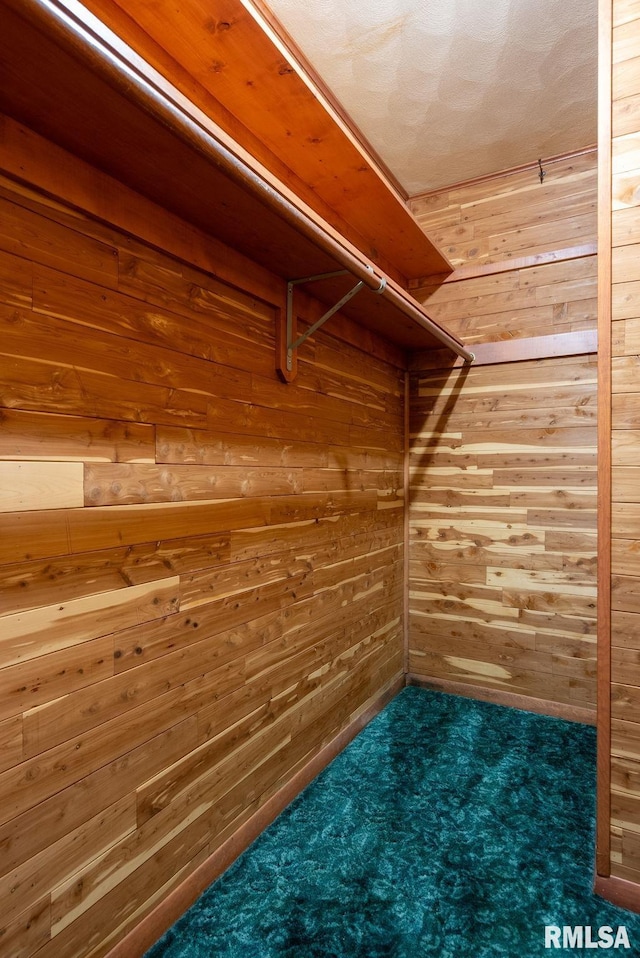 505 N 7th St, Eldridge, IA 52748 - walk in closet with carpet flooring