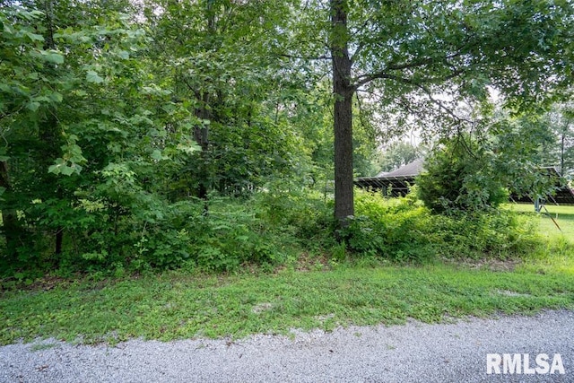 2502 Joel Dr, Herrin, IL 62948