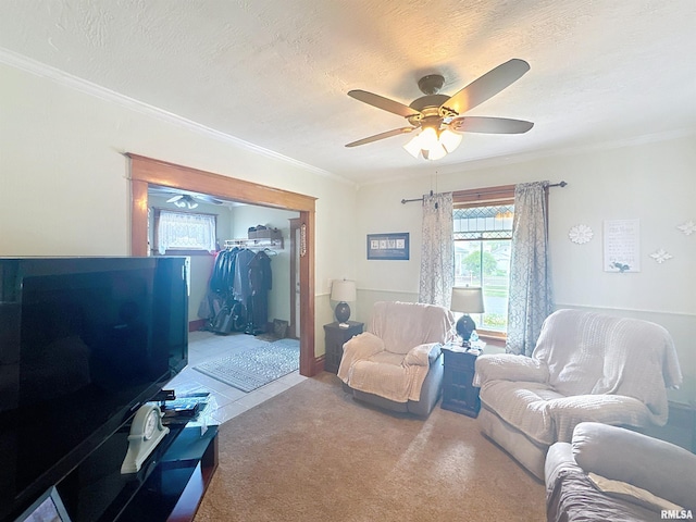 1426 32nd St, Rock Island, IL 61201 - carpeted living room with a ceiling fan, ornamental molding, and a textured ceiling