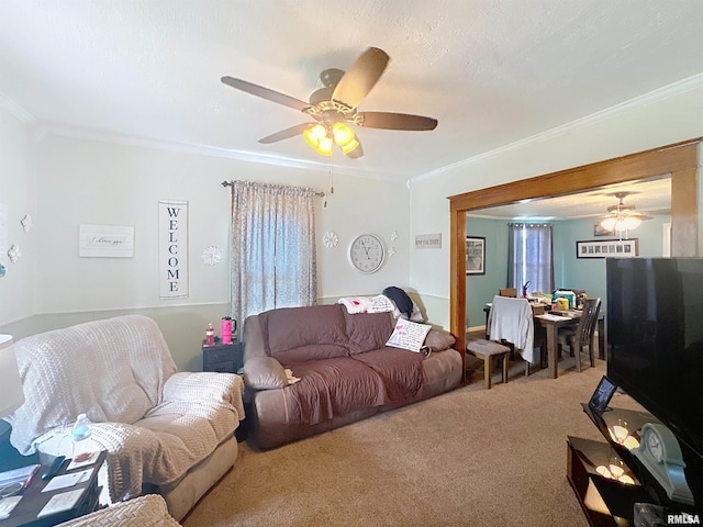 1426 32nd St, Rock Island, IL 61201 - living area with ceiling fan, crown molding, and carpet