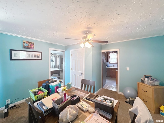 1426 32nd St, Rock Island, IL 61201 - dining room featuring ornamental molding, a textured ceiling, ceiling fan, and carpet flooring