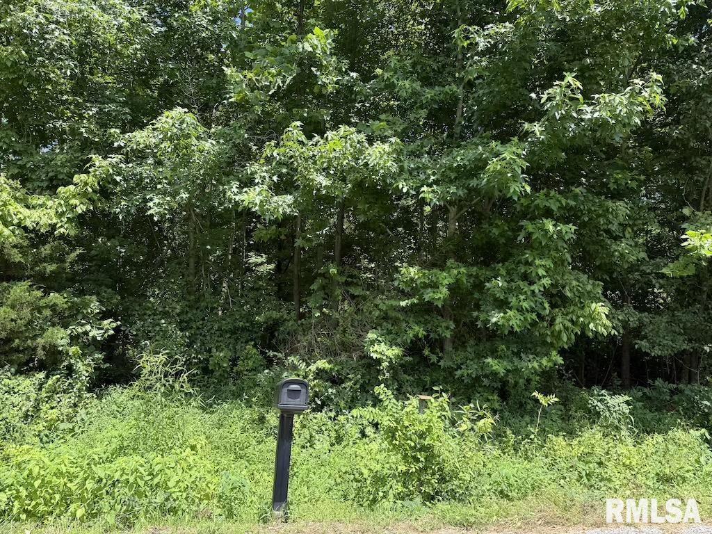 3126 Vermont Rd, Carterville, IL 62918