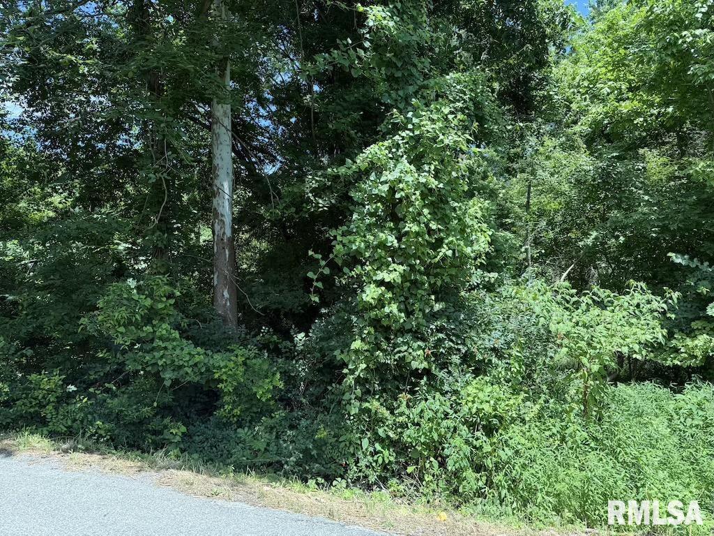3126 Vermont Rd, Carterville, IL 62918