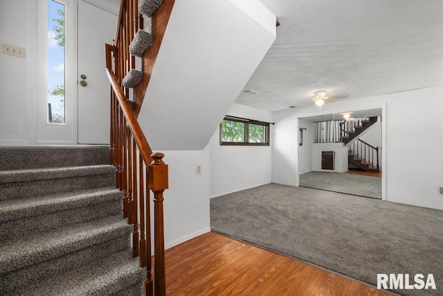 2917 W 65th St, Davenport, IA 52806 - staircase with wood finished floors and carpet floors
