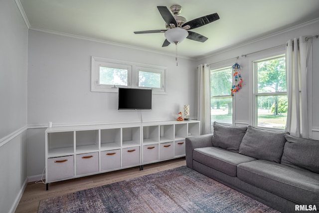 1715 65th Ave W, Rock Island, IL 61201 - living room featuring wood finished floors, ornamental molding, and ceiling fan