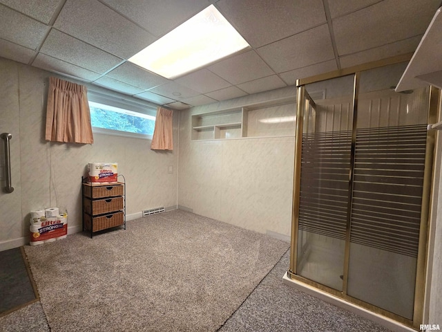 507 S Church St, Albany, IL 61230 - basement featuring carpet floors and a drop ceiling