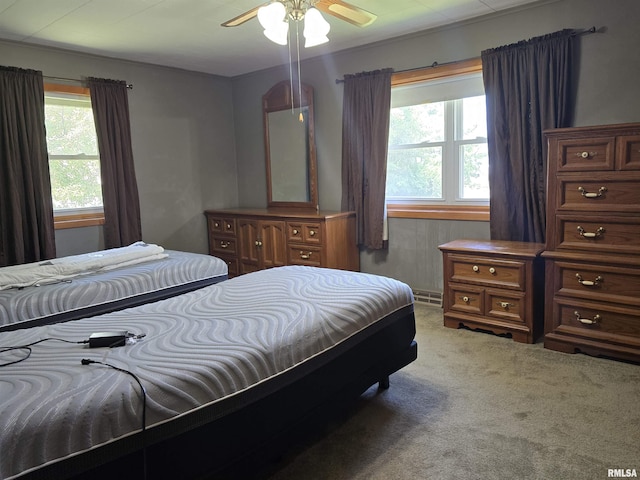 507 S Church St, Albany, IL 61230 - carpeted bedroom with multiple windows and a ceiling fan