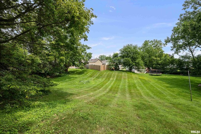 404 5th St, Sherrard, IL 61281 - view of yard