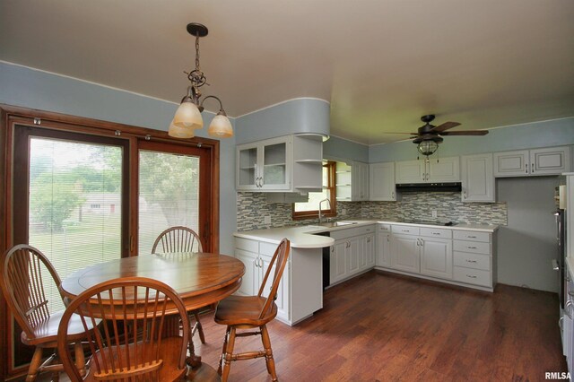 1524 W 4th St, Milan, IL 61264 - kitchen with under cabinet range hood, ceiling fan, tasteful backsplash, light countertops, and dark wood-style floors